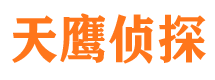 阆中侦探公司